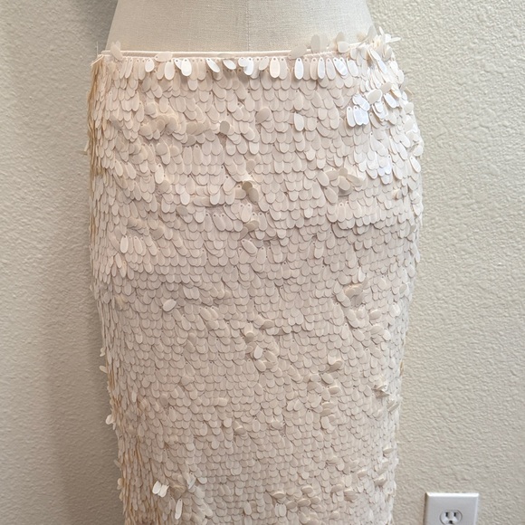 Elegant Cream Sequin Skirt - Picture 3 of 7